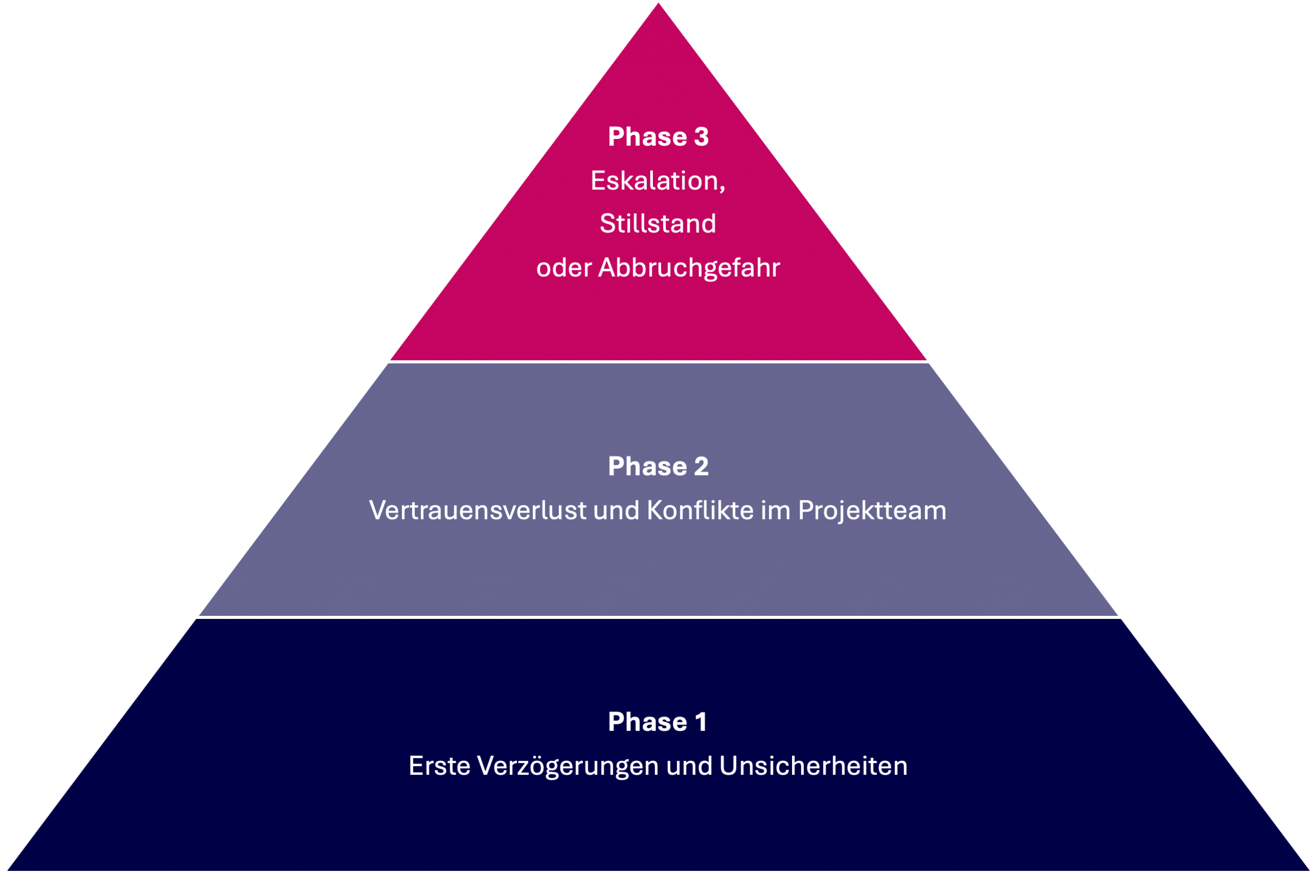 ERP Projektrettung - Phasen