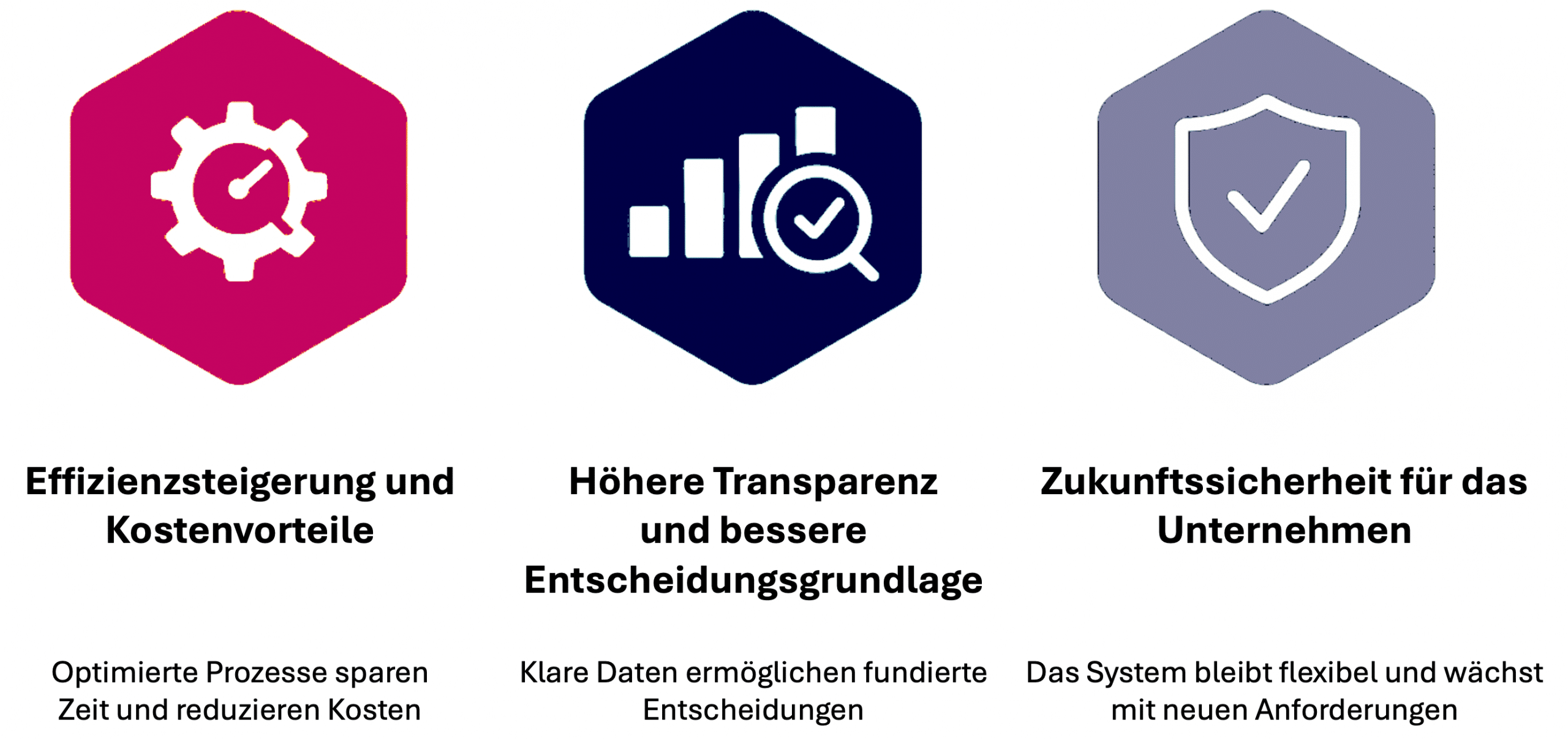 ERP Optimierung - Vorteile