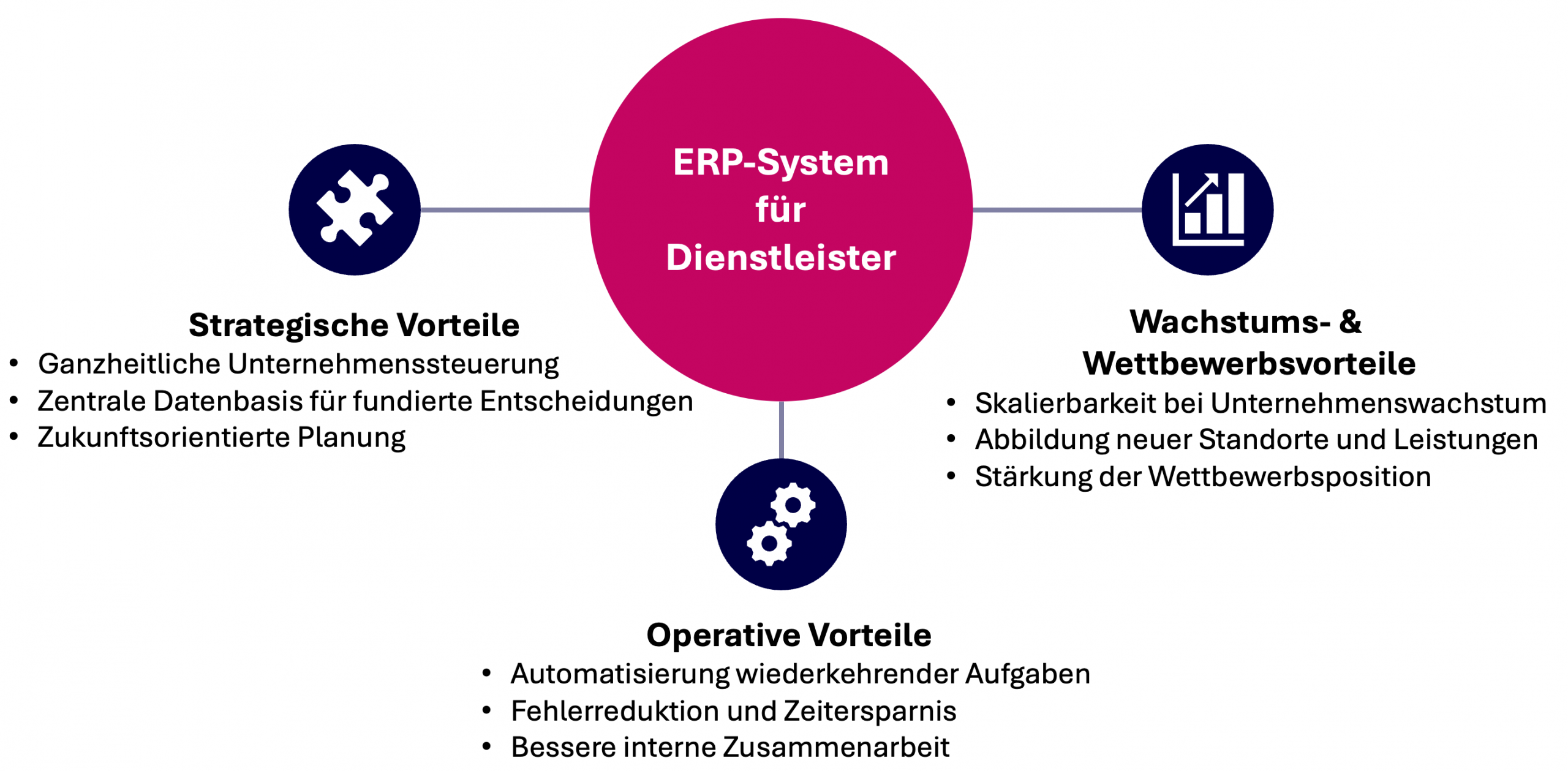 ERP Dienstleister - Vorteil